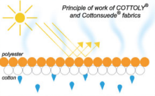 Principe de la technologie Cottoly